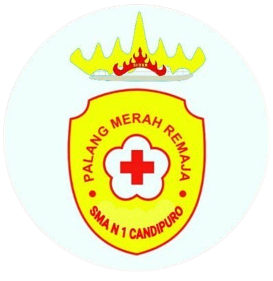 Logo PMR