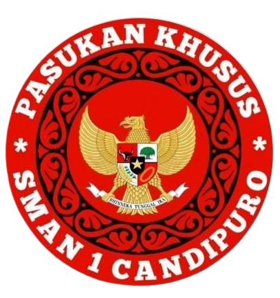 Logo PMR